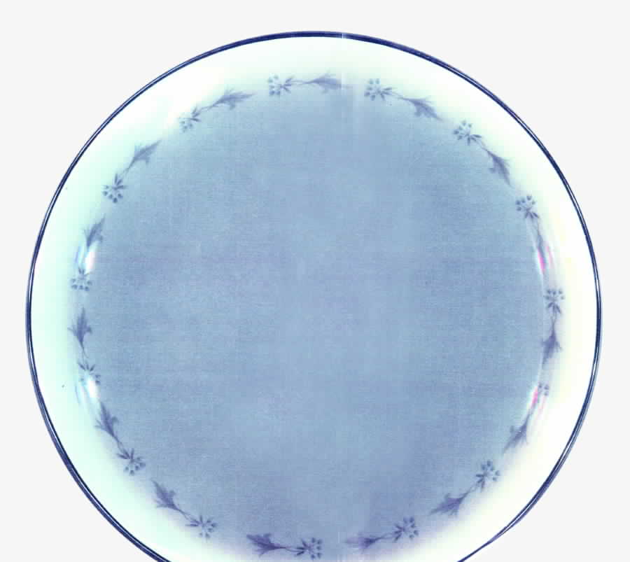 Rhapsody (No Center Design) Dinner Plate by Towne-1