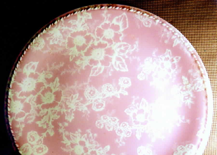 TST575 Dinner Plate by Taylor, Smith & Taylor (Ts&T)-1
