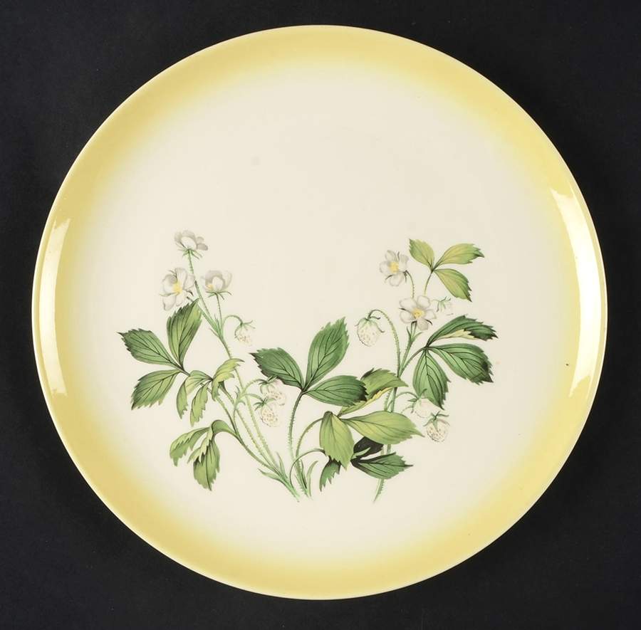 TST844 Dinner Plate by Taylor, Smith & Taylor (Ts&T)-1