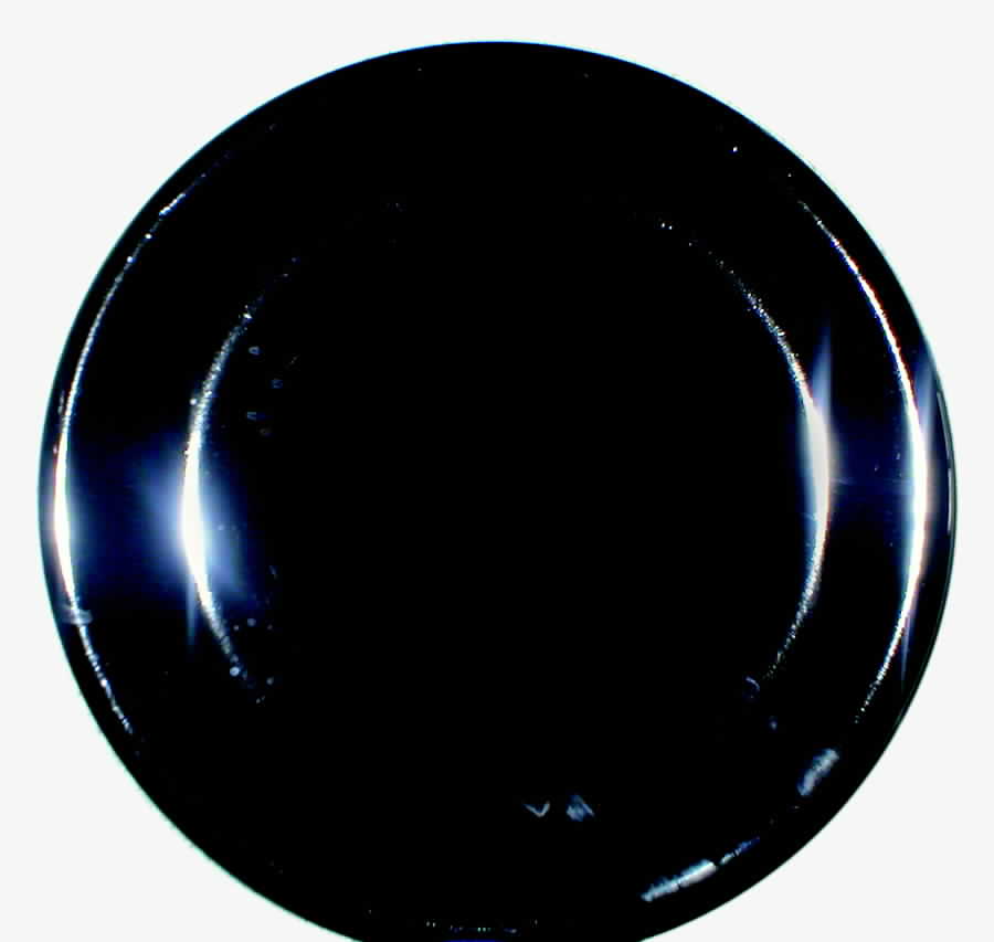 TBB1 Dinner Plate by Tablebasics-1