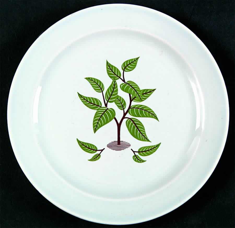 Coffee Tree (Luray) Bread & Butter Plate by Taylor, Smith & Taylor (Ts&T)-1