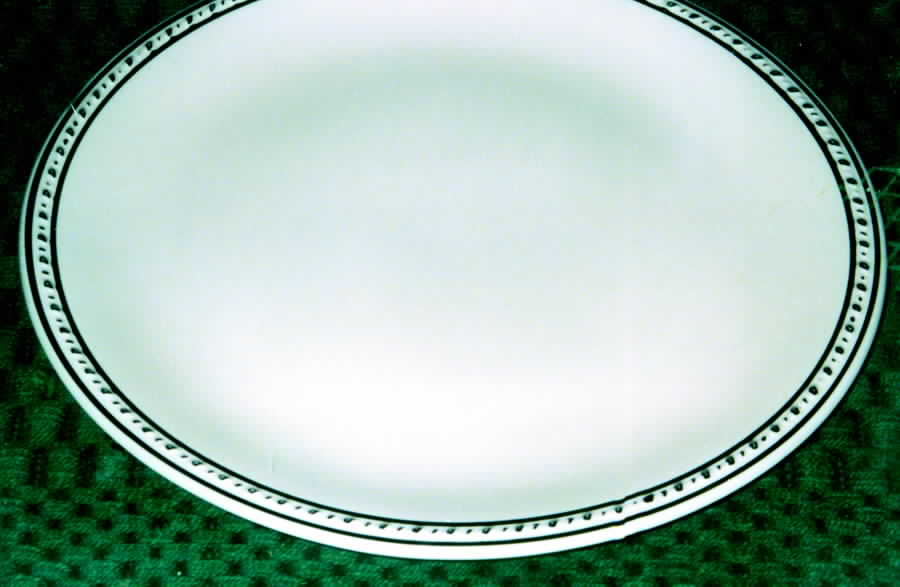 9372 Dinner Plate by Taylor, Smith & Taylor (Ts&T)-1