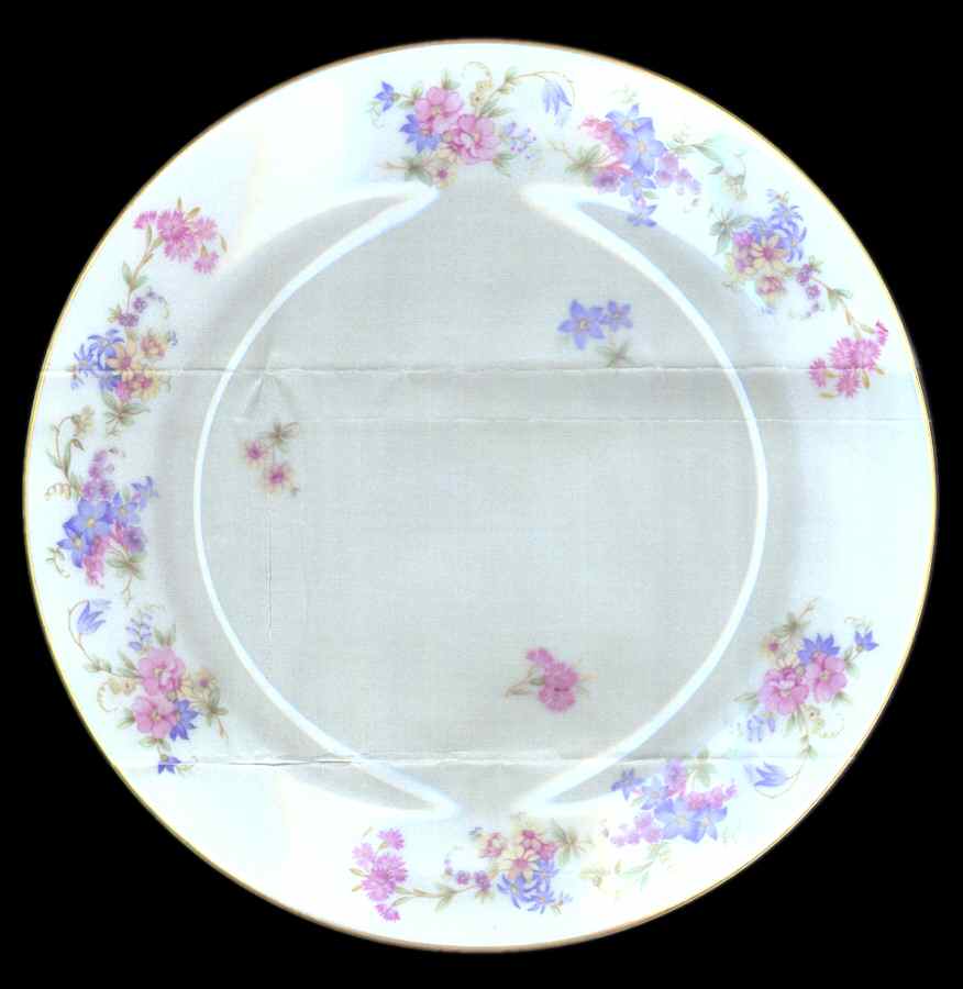 07021 Salad Plate by Thomas-1