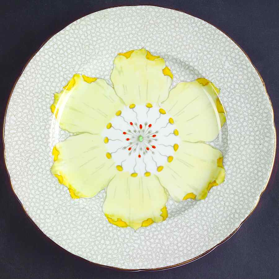 C6264 Salad Plate by Tuscan - Royal Tuscan-1