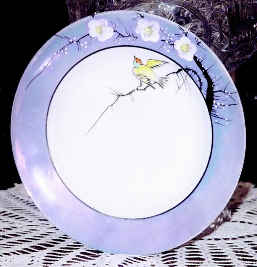 TI10 Salad Plate by Trico-1