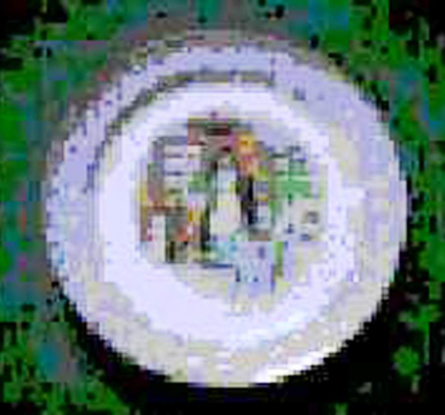 TST598 Luncheon Plate by Taylor, Smith & Taylor (Ts&T)-1