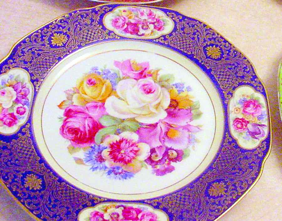 TIR344 Dinner Plate by Tirschenreuth-1