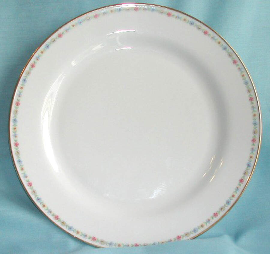TIR349 Dinner Plate by Tirschenreuth-1