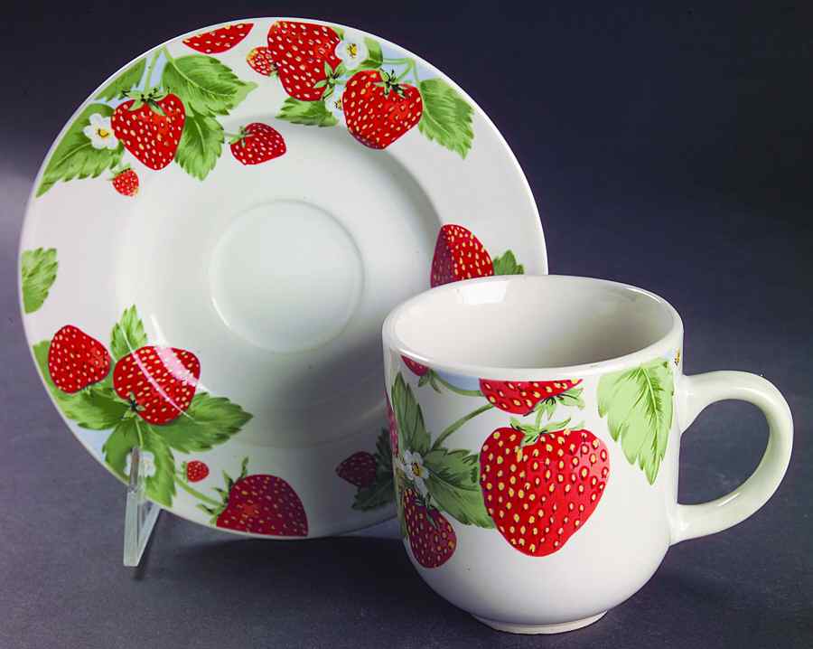 Strawberry Social Flat Cup & Saucer Set by Tienshan-1