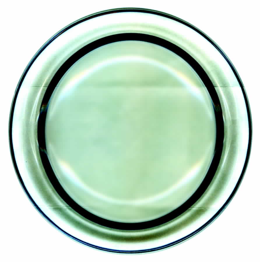 Tie42 Salad Plate by Tienshan-1