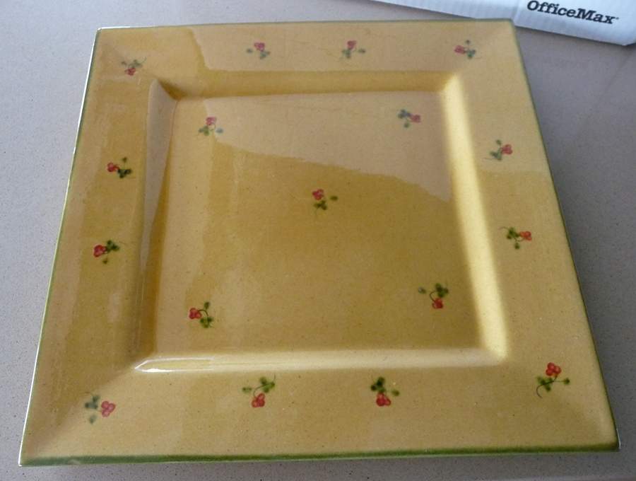 Tpr2 Square Dinner Plate by Terre e Provence-1