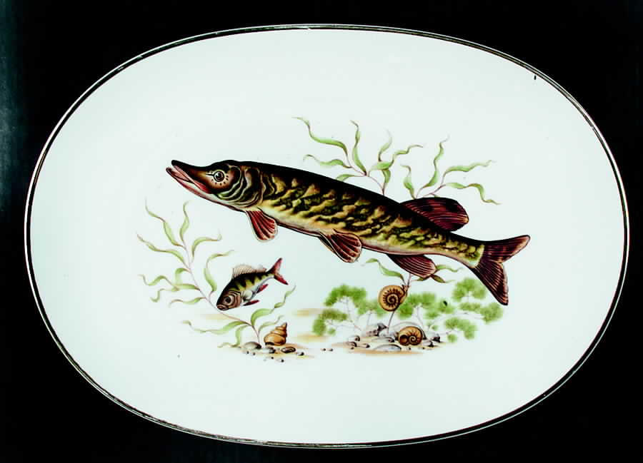 Tir355 15" Oval Serving Platter by Tirschenreuth-1