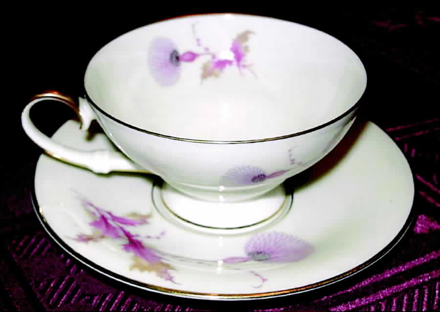 2182 Footed Cup & Saucer Set by Tirschenreuth-1