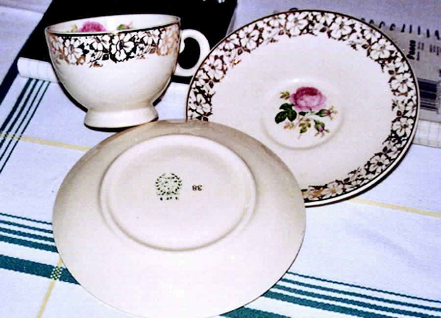 Tst621 Footed Cup & Saucer Set by Taylor, Smith & Taylor (Ts&T)-1