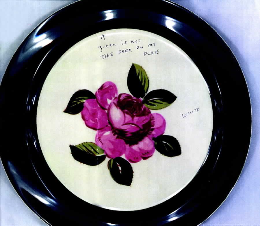 6532 Luncheon Plate by Taylor, Smith & Taylor (Ts&T)-1