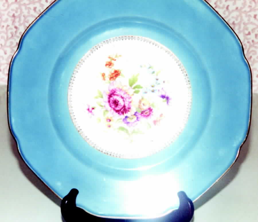 Tir361 Dinner Plate by Tirschenreuth-1