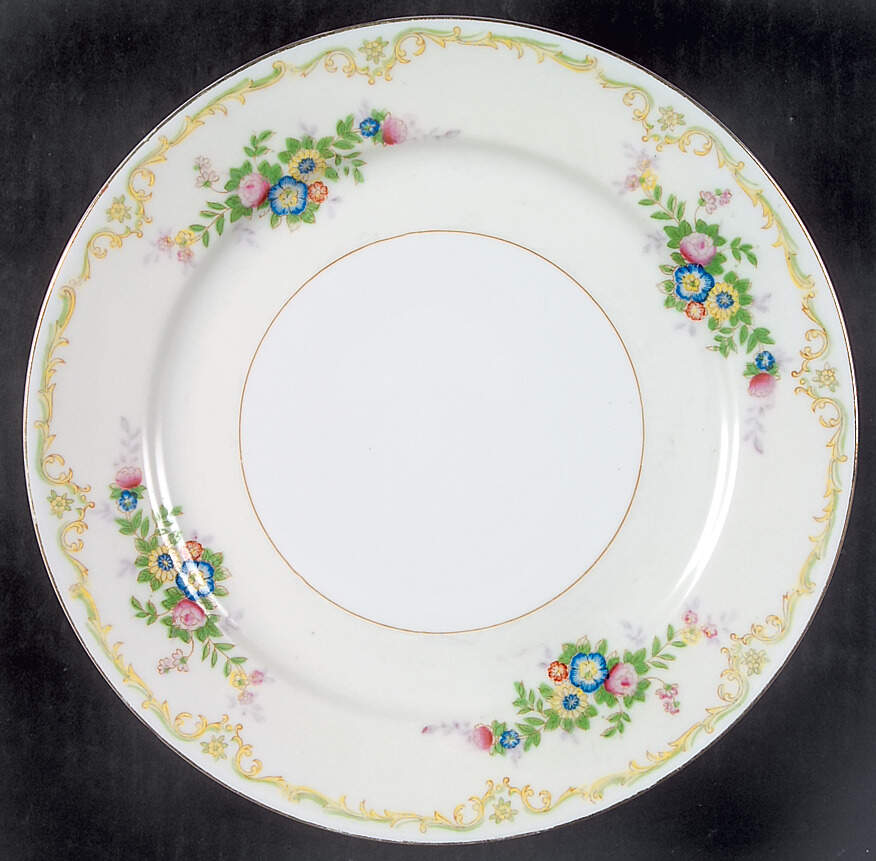 Tsw10 Dinner Plate by Transor Ware (Japan)-1