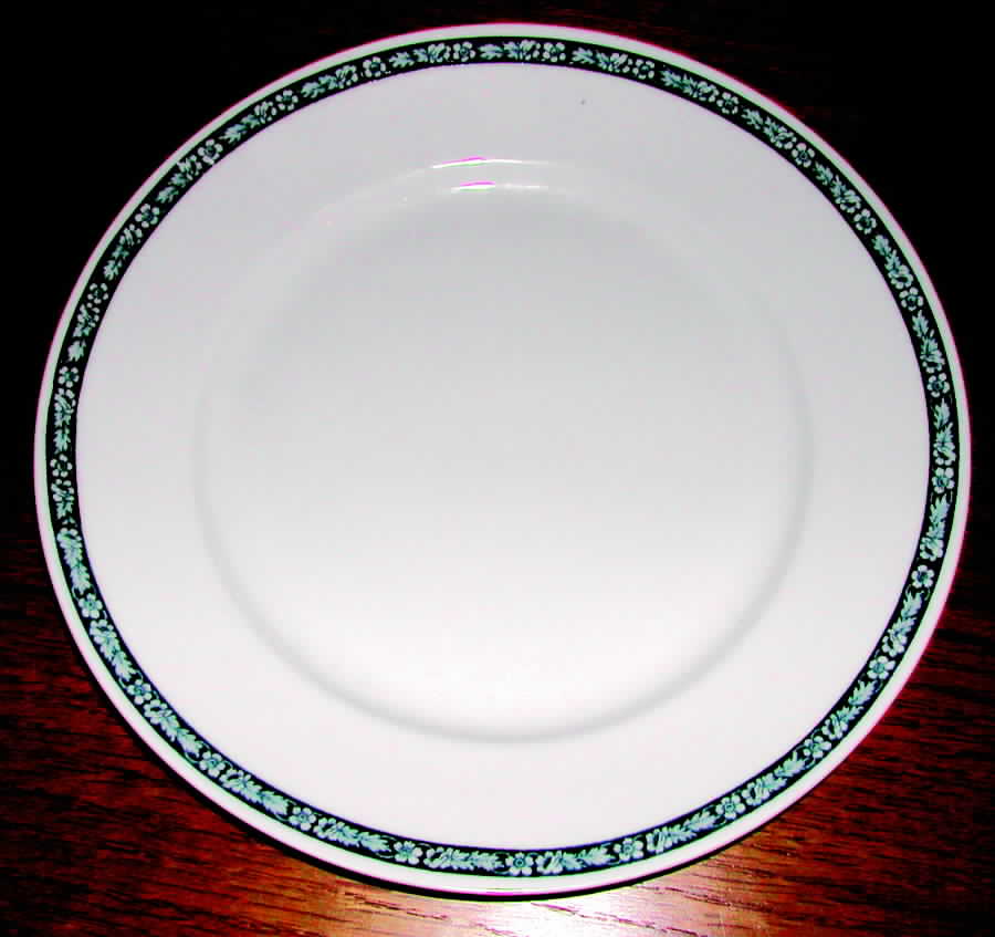 TIR363 Dinner Plate by Tirschenreuth-1