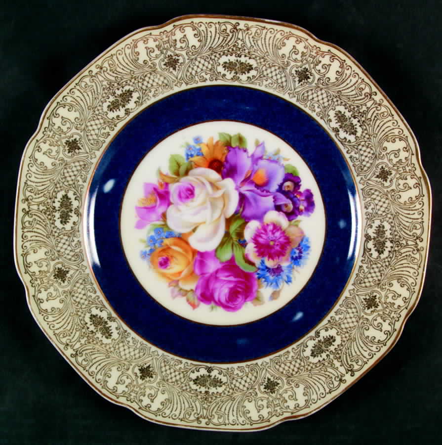 TIR371 Dinner Plate by Tirschenreuth-1