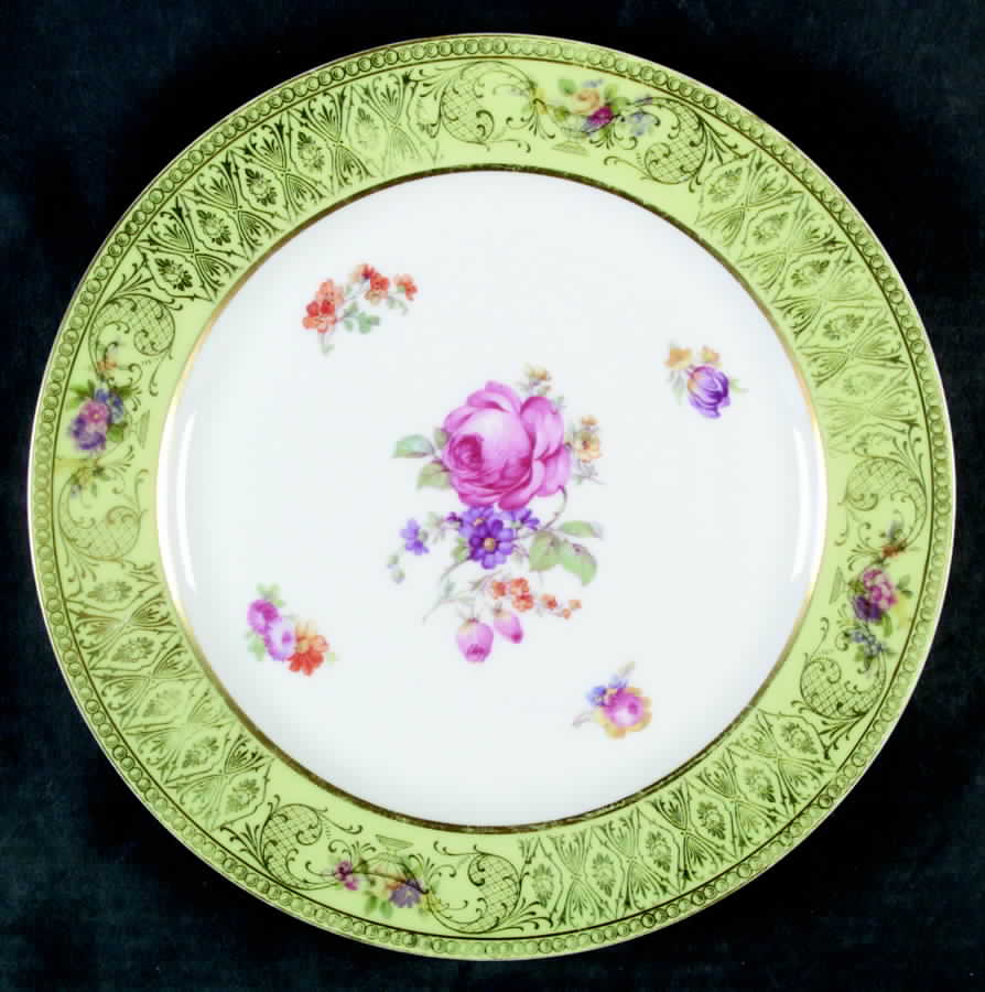 TIR372 Dinner Plate by Tirschenreuth-1
