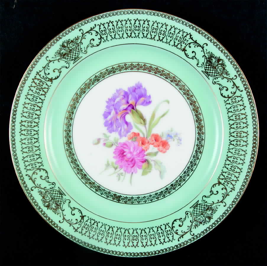 TIR373 Dinner Plate by Tirschenreuth-1