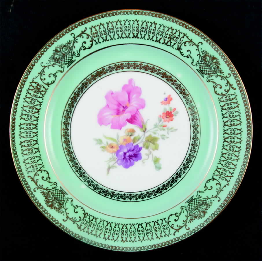 TIR373 Dinner Plate by Tirschenreuth-1