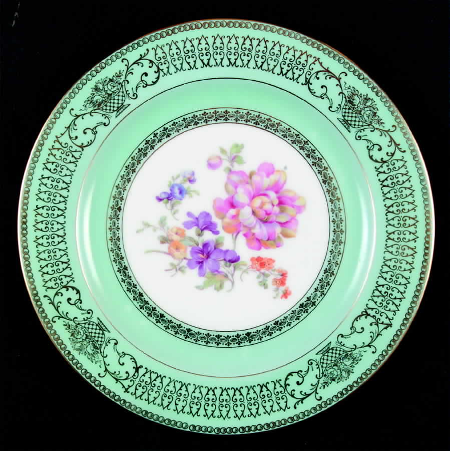TIR373 Dinner Plate by Tirschenreuth-1
