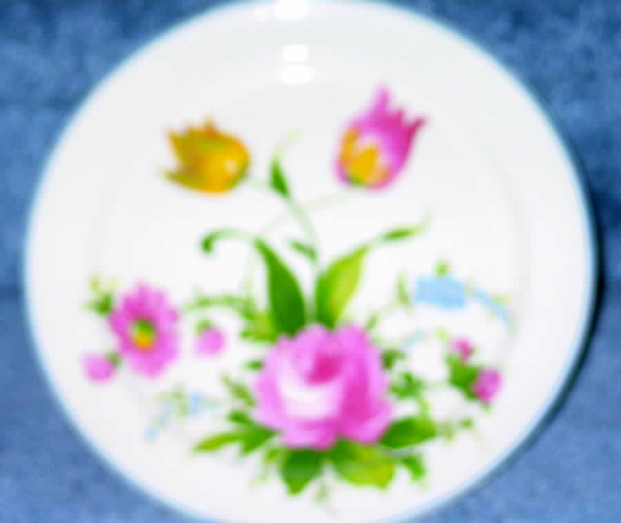 1362 Dinner Plate by Taylor, Smith & Taylor (Ts&T)-1