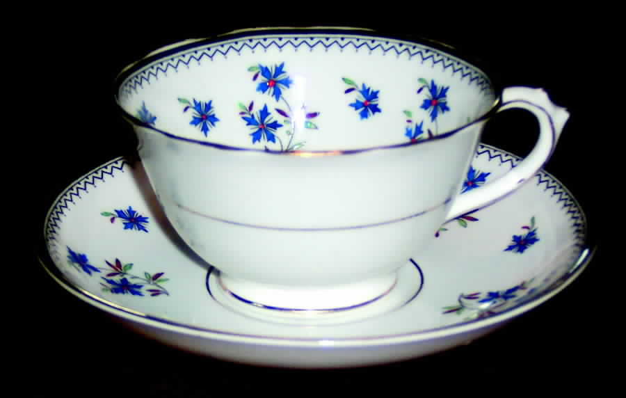 7795 Footed Cup & Saucer Set by Tuscan - Royal Tuscan-1