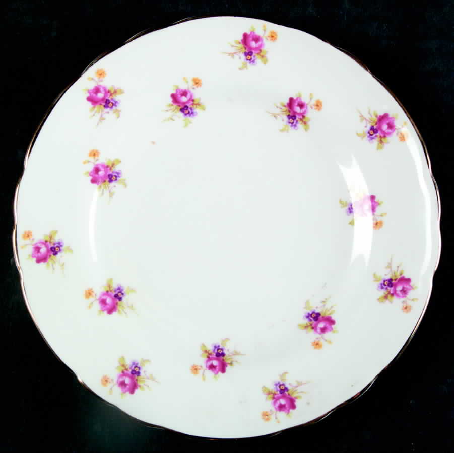 C9422 Bread & Butter Plate by Tuscan - Royal Tuscan-1