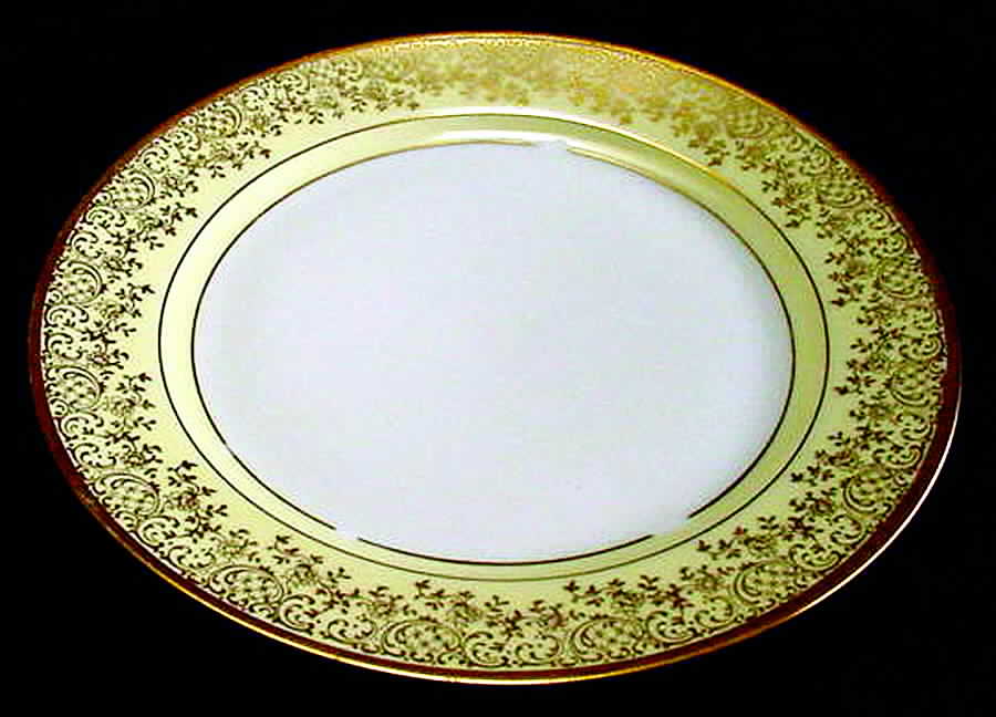 TIR380 Dinner Plate by Tirschenreuth-1
