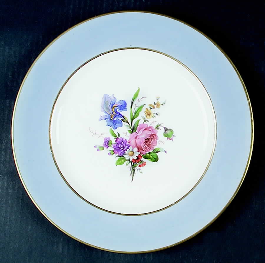 TAT28 Dinner Plate by Tatler of Trenton-1