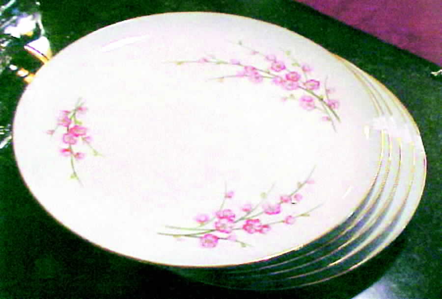 Ume Dinner Plate by Three Castle-1