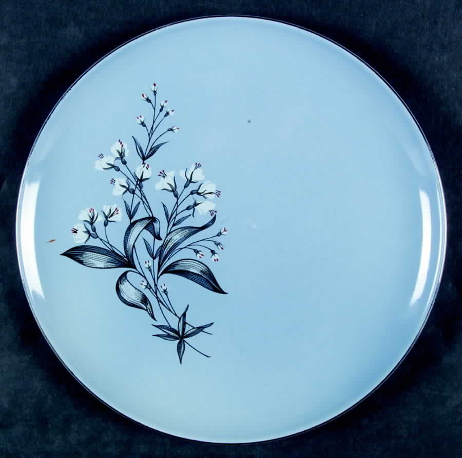 TST664 Dinner Plate by Taylor, Smith & Taylor (Ts&T)-1