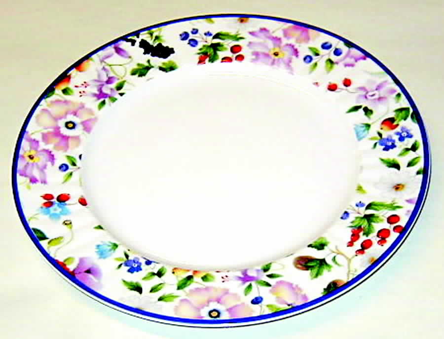 R6L13 Dinner Plate by Royal Limoges-1