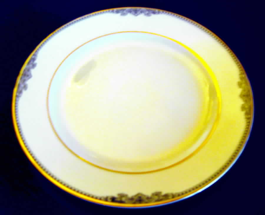 06023 Dinner Plate by Thomas-1
