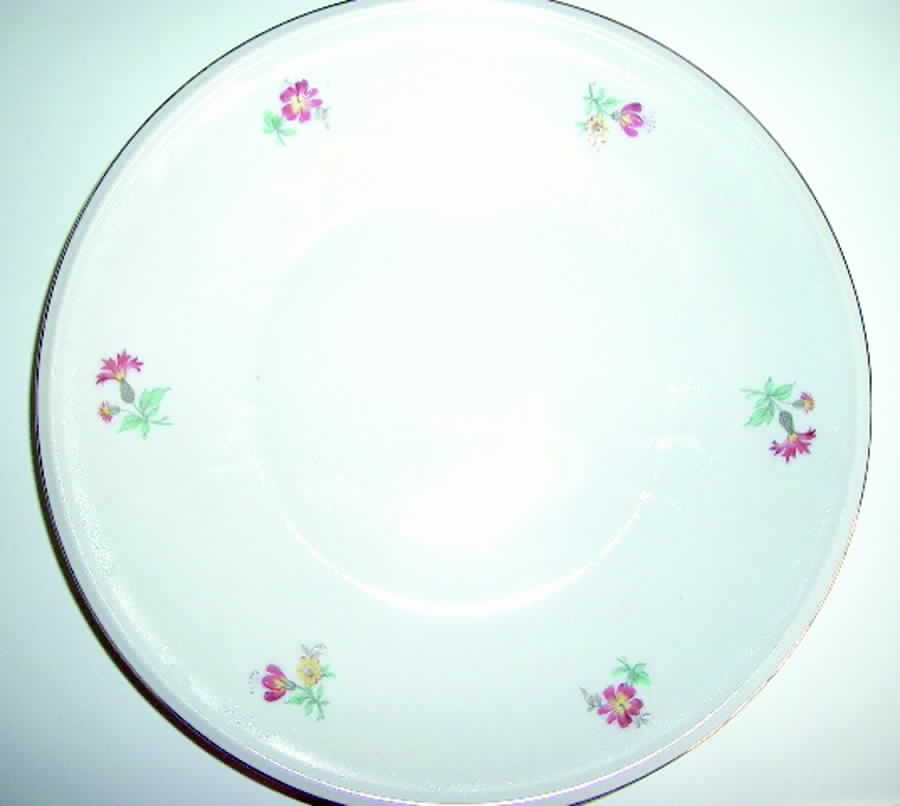 TIR388 Salad Plate by Tirschenreuth-1