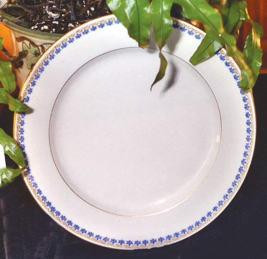 TRV460 Dinner Plate by Tressemanes & Vogt-1