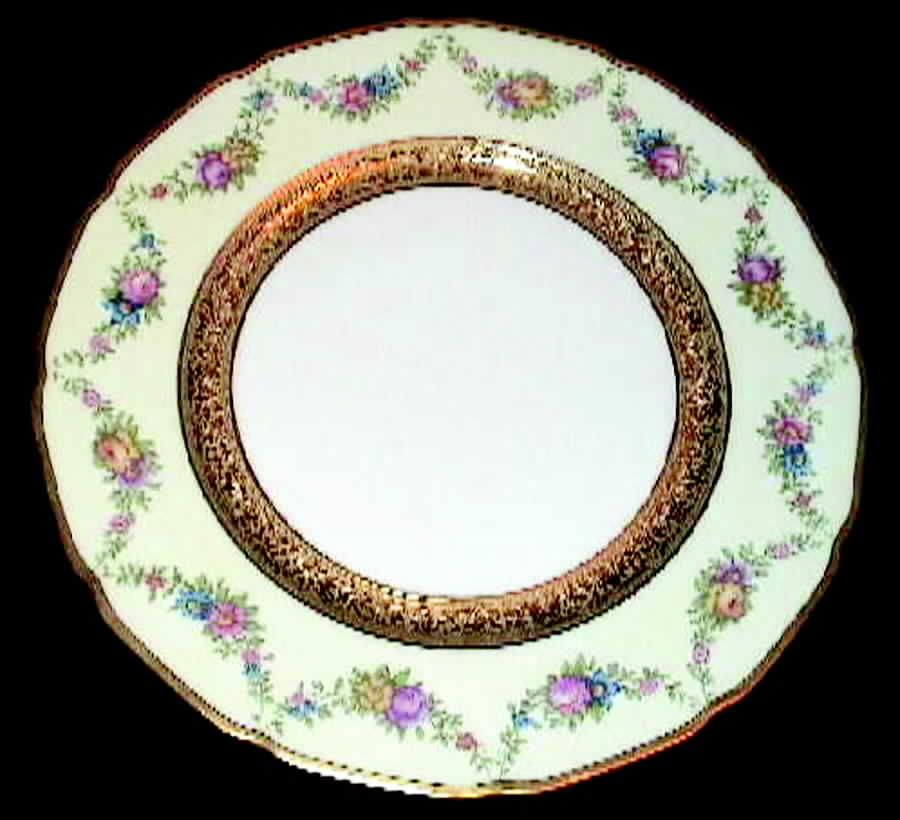 TRV462 Dinner Plate by Tressemanes & Vogt-1