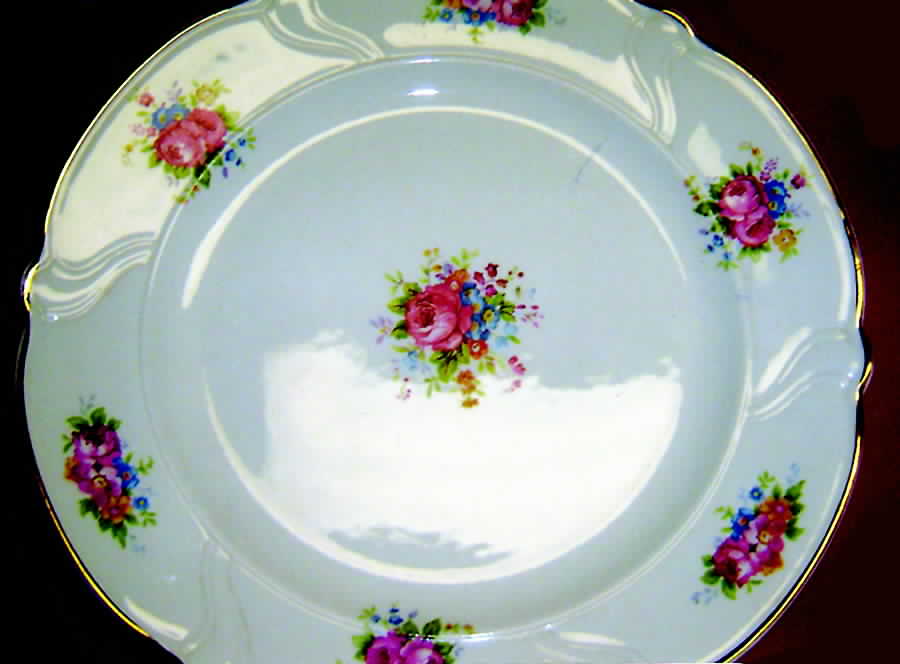 TST671 Dinner Plate by Taylor, Smith & Taylor (Ts&T)-1