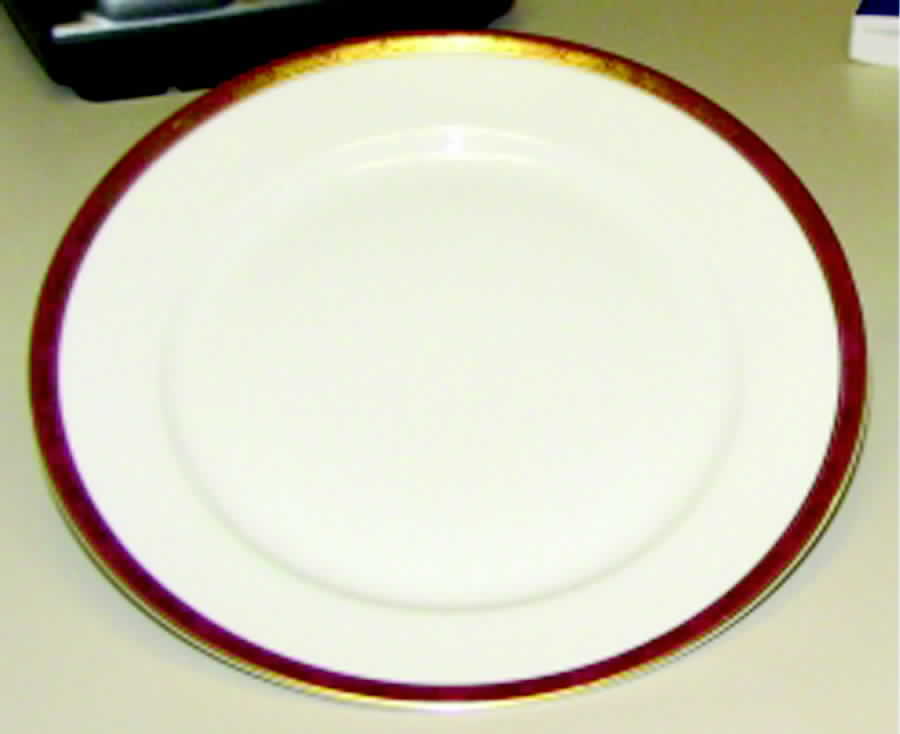 THO339 Luncheon Plate by Thomas-1