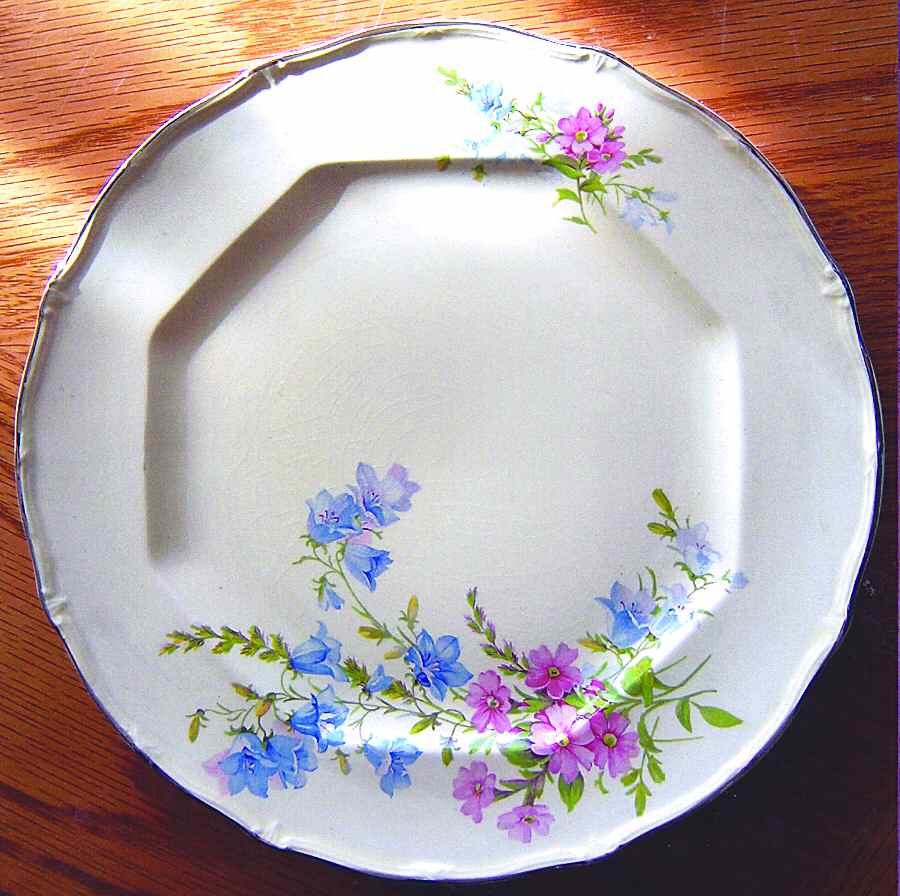 TST680 Dinner Plate by Taylor, Smith & Taylor (Ts&T)-1