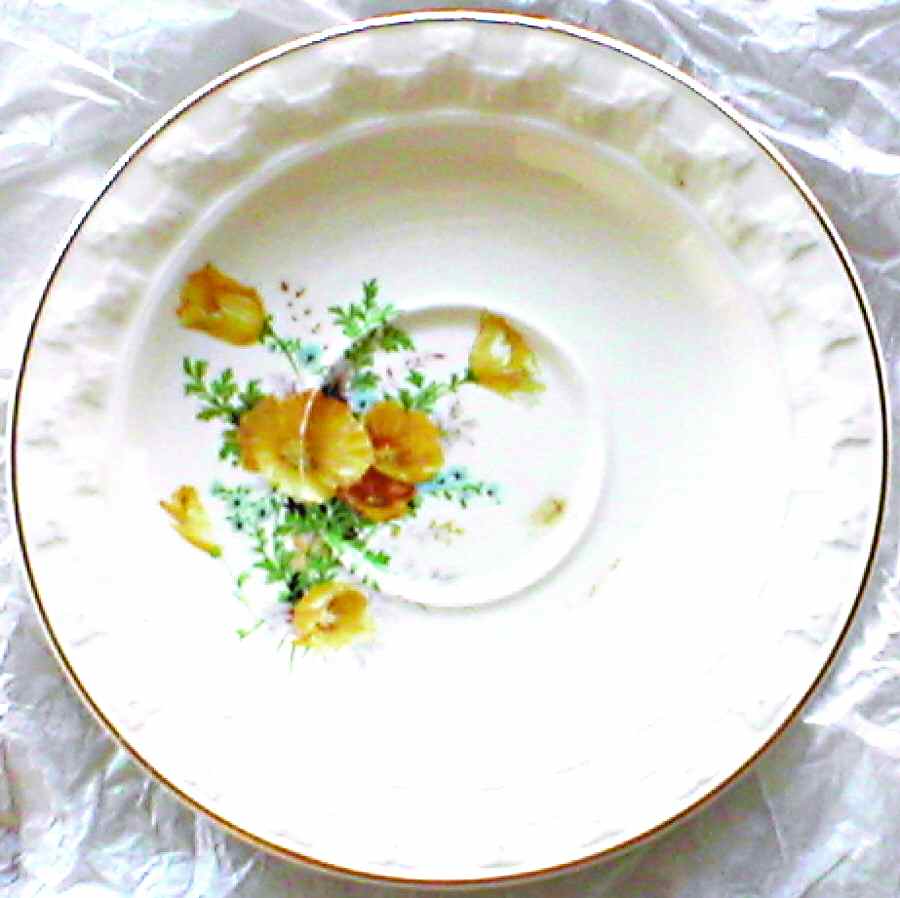 TST685 Saucer by Taylor, Smith & Taylor (Ts&T)-1
