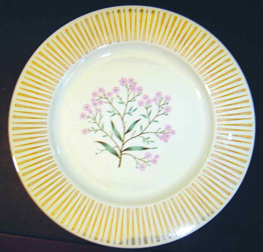 TST687 Dinner Plate by Taylor, Smith & Taylor (Ts&T)-1