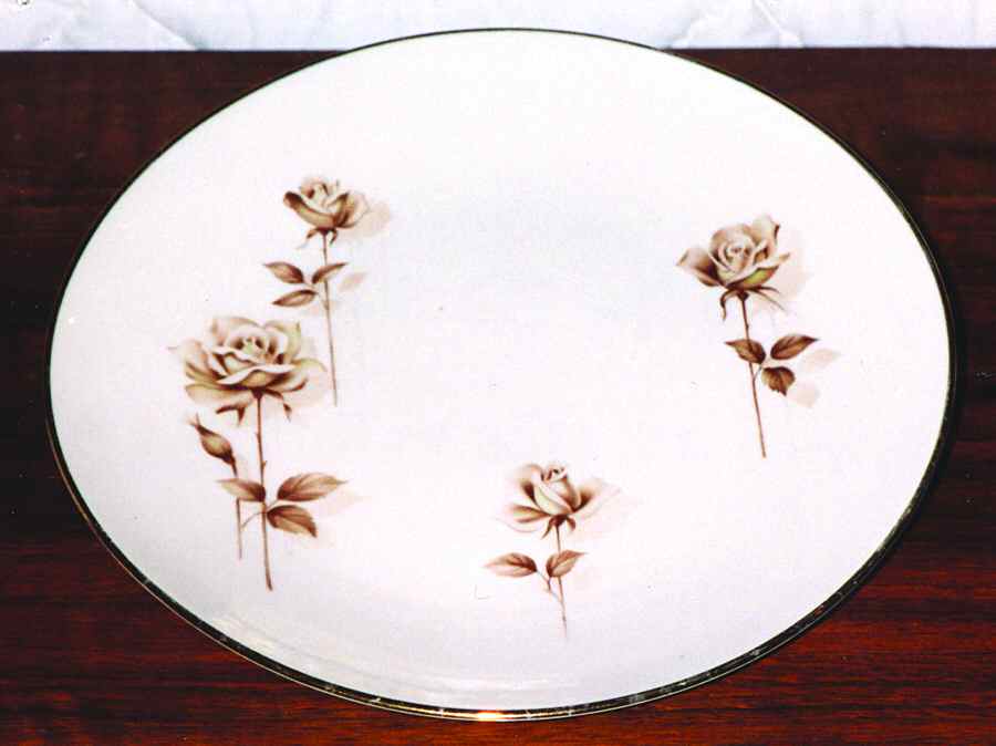 TST690 Dinner Plate by Taylor, Smith & Taylor (Ts&T)-1