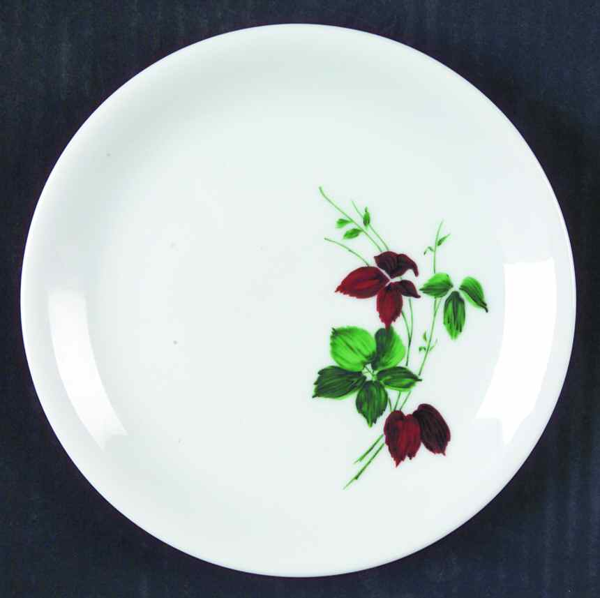 THO351 Bread & Butter Plate by Thomas-1