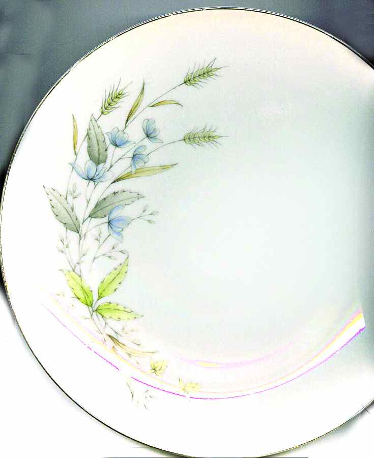 Demure Dinner Plate by Trend-1