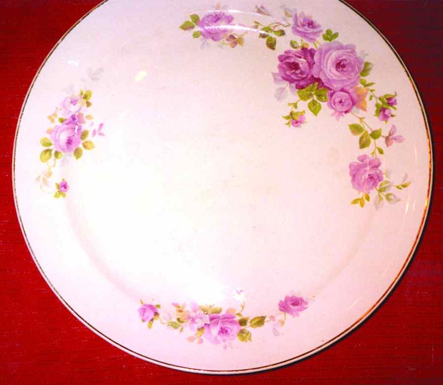TST693 Dinner Plate by Taylor, Smith & Taylor (Ts&T)-1