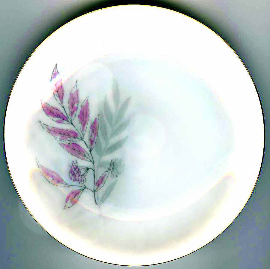 THO354 Bread & Butter Plate by Thomas-1
