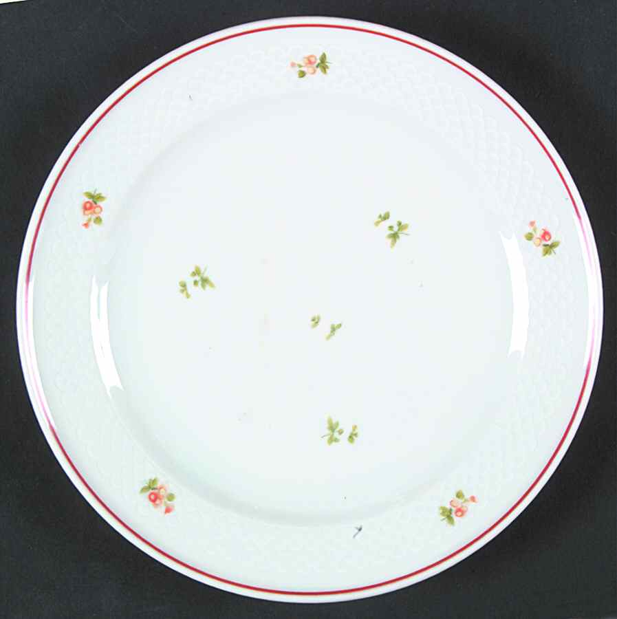 7297 Salad Plate by Thomas-1